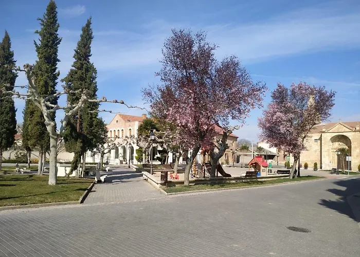 Vega-Aranda