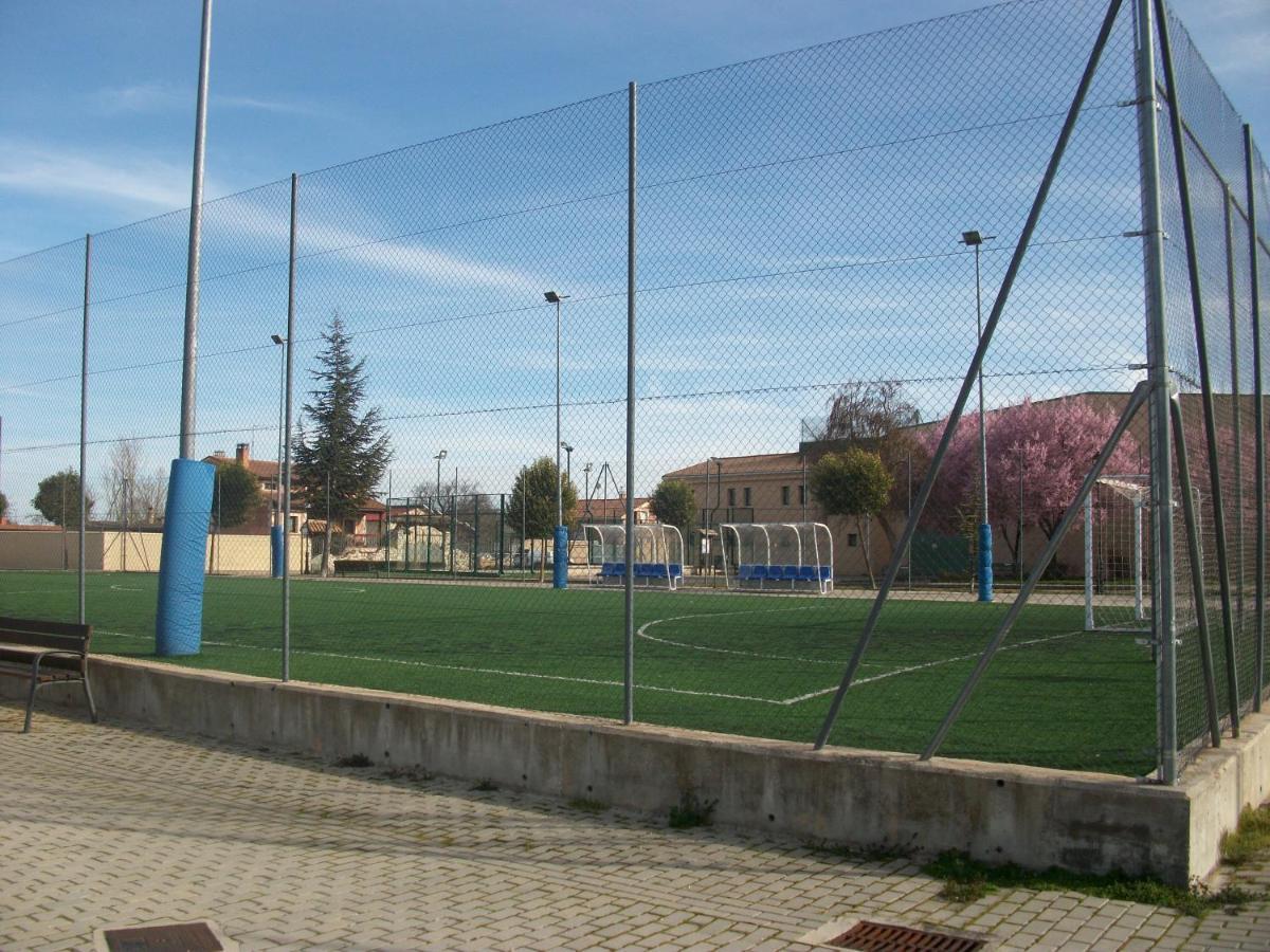 Vega-aranda